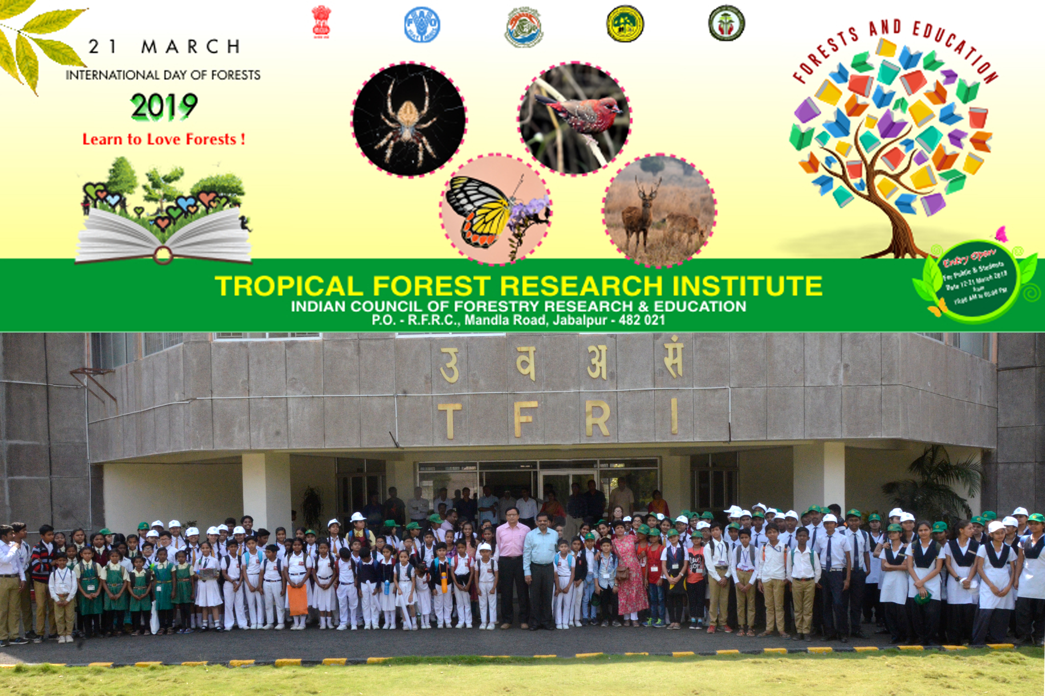International Day of Forests