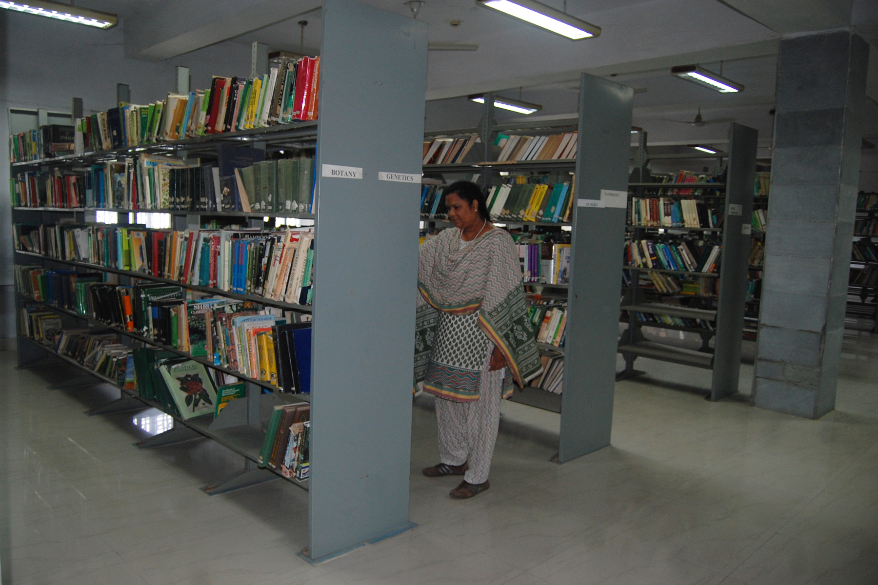 Book Displays