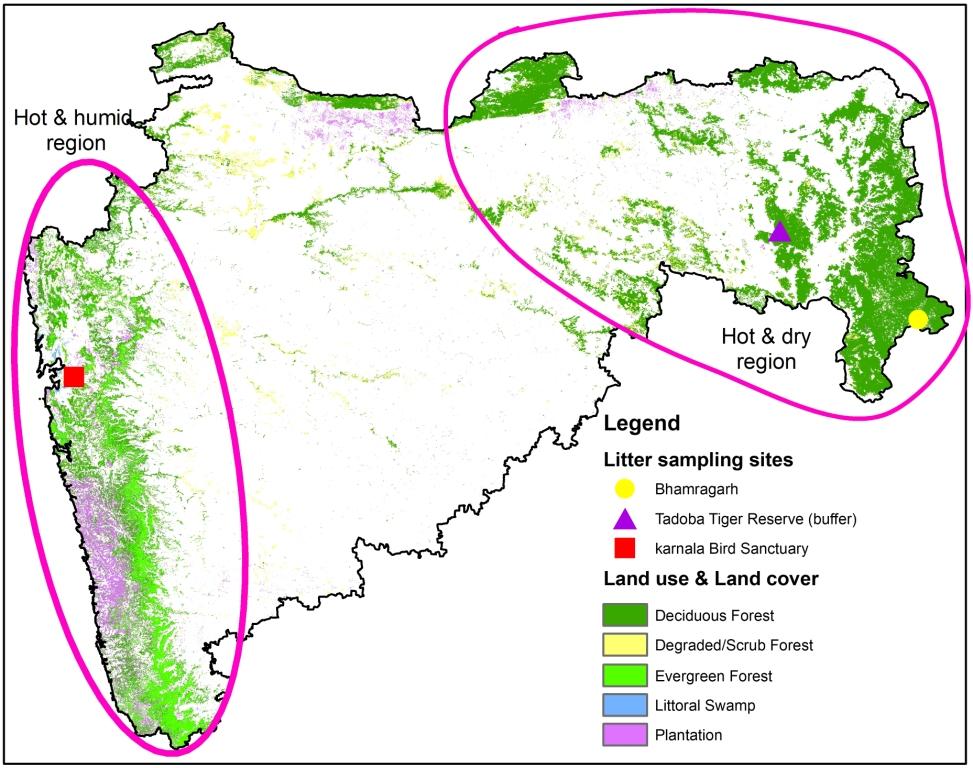 Litter sampling sites in the two regions (hot and humid; and hot and dry)