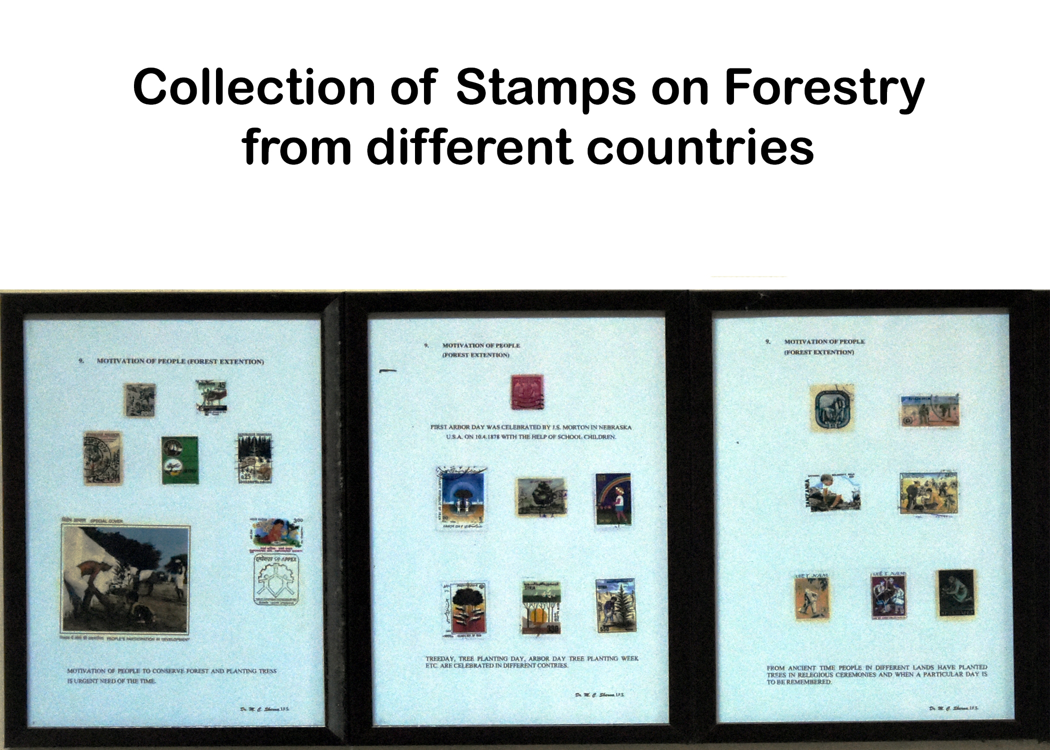 Collection of Stamps