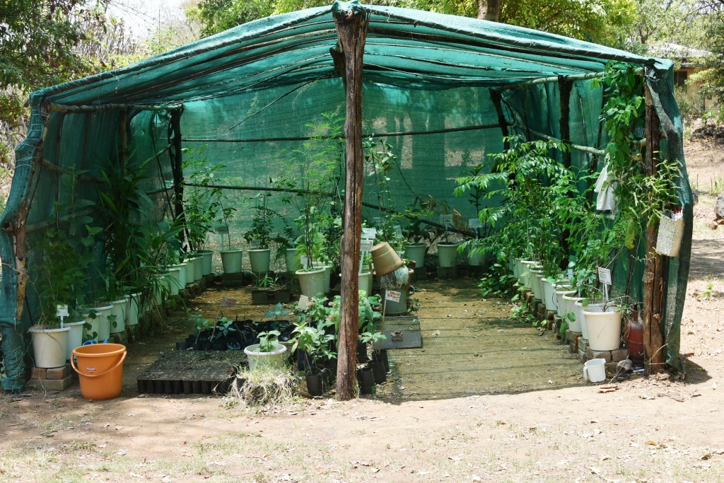 Nursery
